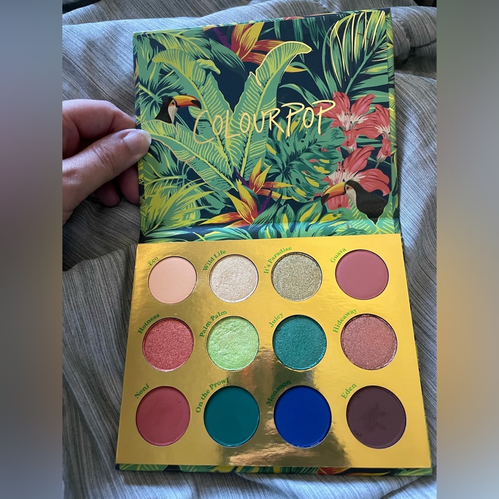Lush Colourpop eyeshadow palette